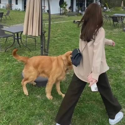 彩云深处